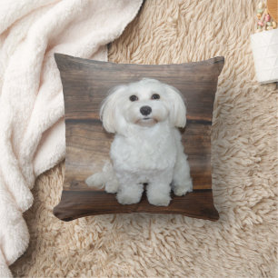 Cojín Decorativo Amo Mi Maltés Blanco
