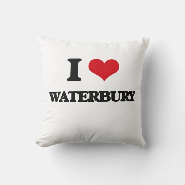 Cojín Decorativo Amo Waterbury (Anverso)