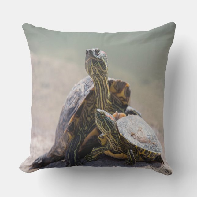 Cojín Decorativo Amor a la tortuga (Anverso)