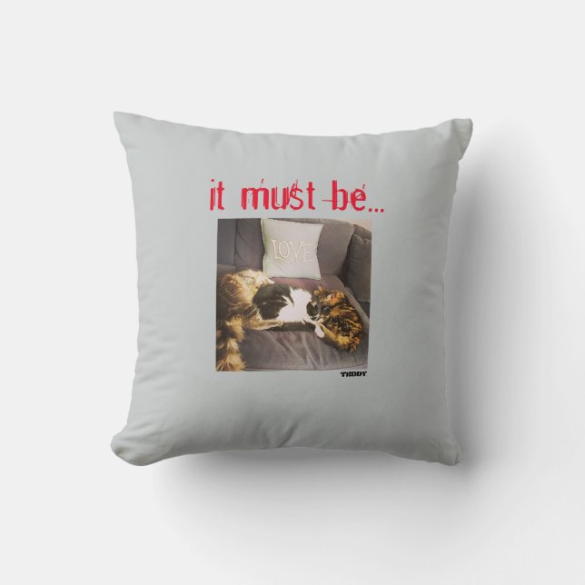 Cojín Decorativo Amortiguador (Anverso)