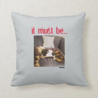 Cojín Decorativo Amortiguador