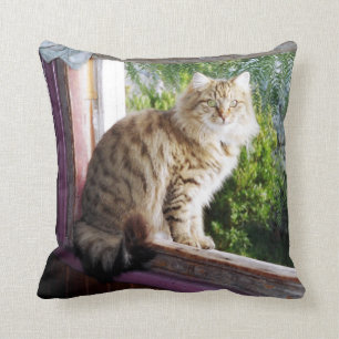 Cojín Decorativo Amortiguador 16" del poliéster x 16" - Shirl en