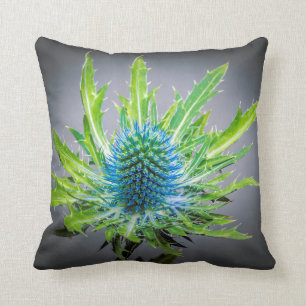 Cojín Decorativo Amortiguador azul del Eryngium