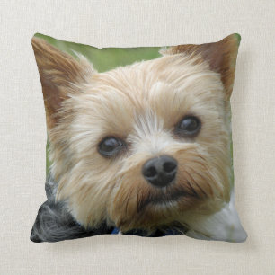 Cojín Decorativo Amortiguador de Yorkie