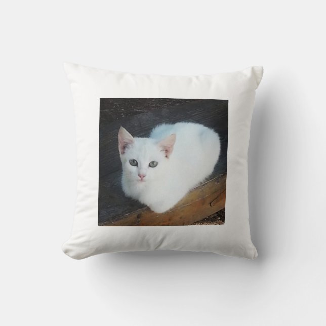 Cojín Decorativo Amortiguador del gato (Anverso)