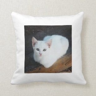 Cojín Decorativo Amortiguador del gato