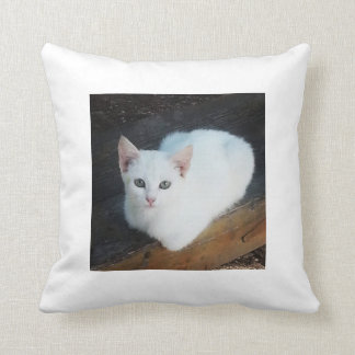 Cojín Decorativo Amortiguador del gato