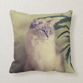 Cojín Decorativo Amortiguador del gato de Ragdoll