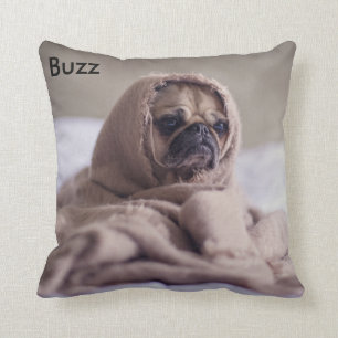 Cojín Decorativo Amortiguador del mascota