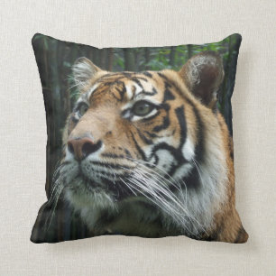 Cojín Decorativo Amortiguador del tigre de Sumatran