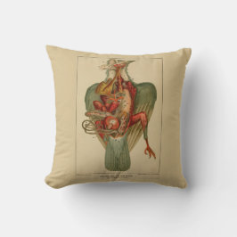 Cojín Decorativo Anatomía de una paloma