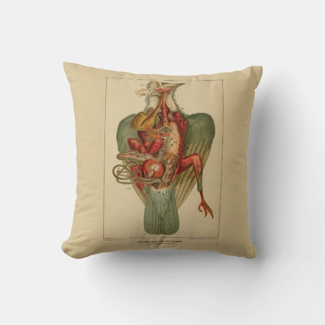 Cojín Decorativo Anatomía de una paloma (Anverso)