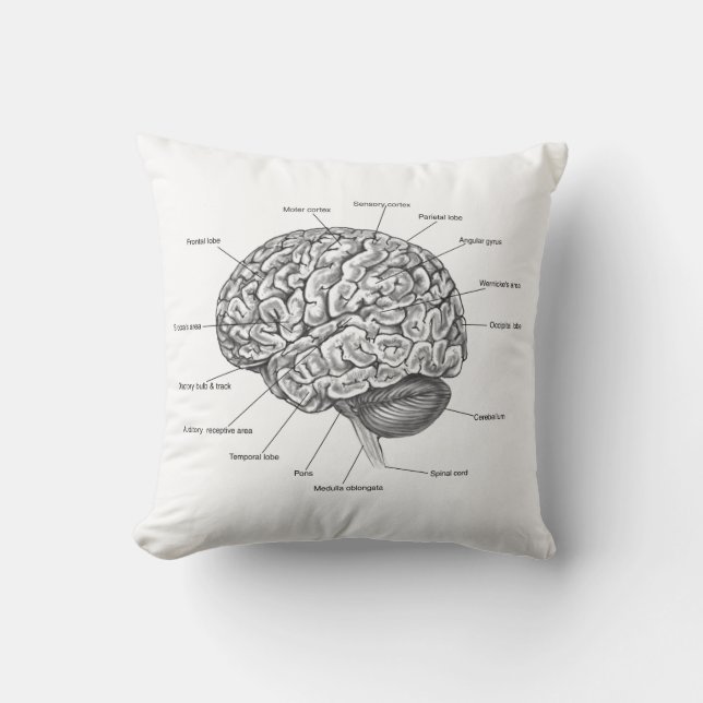 Cojín Decorativo Anatomía del cerebro (Anverso)