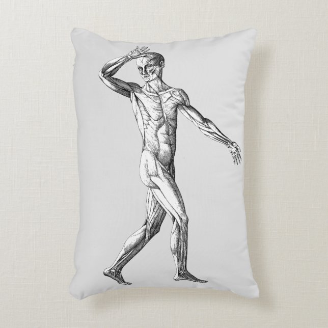 Cojín Decorativo Anatomía Humana Antigua, Músculos del Cuerpo Mascu (Frente (Vertical))