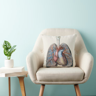 Cojín Decorativo Anatomía Humana Antigua Pulmones Corazón Órganos S
