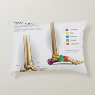 Cojín Decorativo Anatomía ósea de pie
