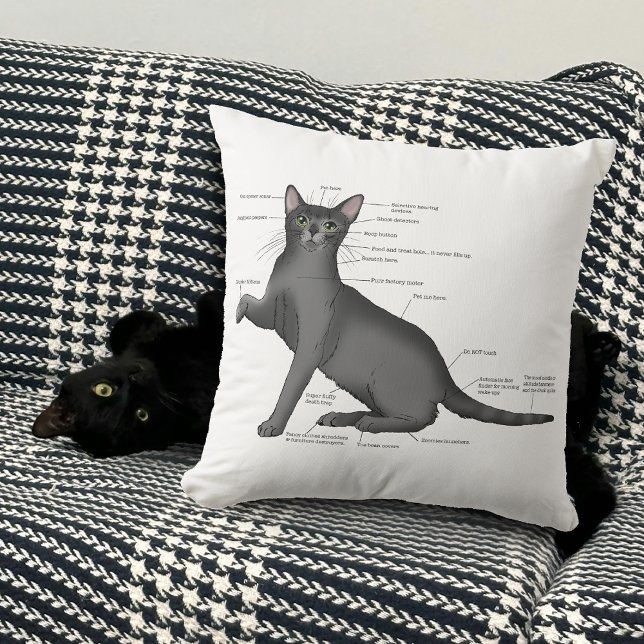 Cojín Decorativo Anatomy Cat Funny (Subido por el creador)