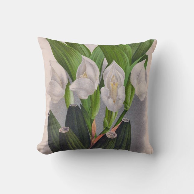 Cojín Decorativo Anguloa Uniflora Lindenia (Anverso)
