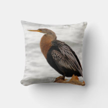 Anhinga Al Acecho
