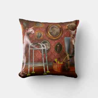 Cojín Decorativo Animal - Gato - Residencia de jubilación para gato