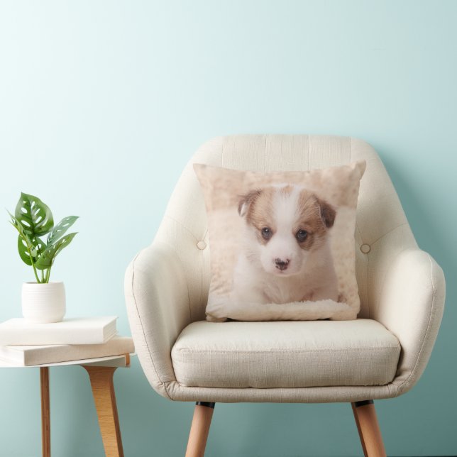Cojín Decorativo Animales de bebé más afectados | Baby Corgi (Silla)