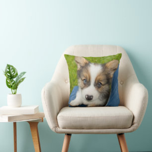 Cojín Decorativo Animales de bebé más afectados   Baby Corgi en mi 