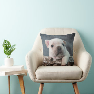 Cojín Decorativo Animales de bebé más afectados Bulldog francés