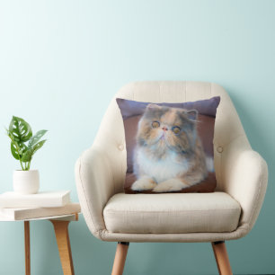 Cojín Decorativo Animales de bebé más afectados   Calico Persian Ki