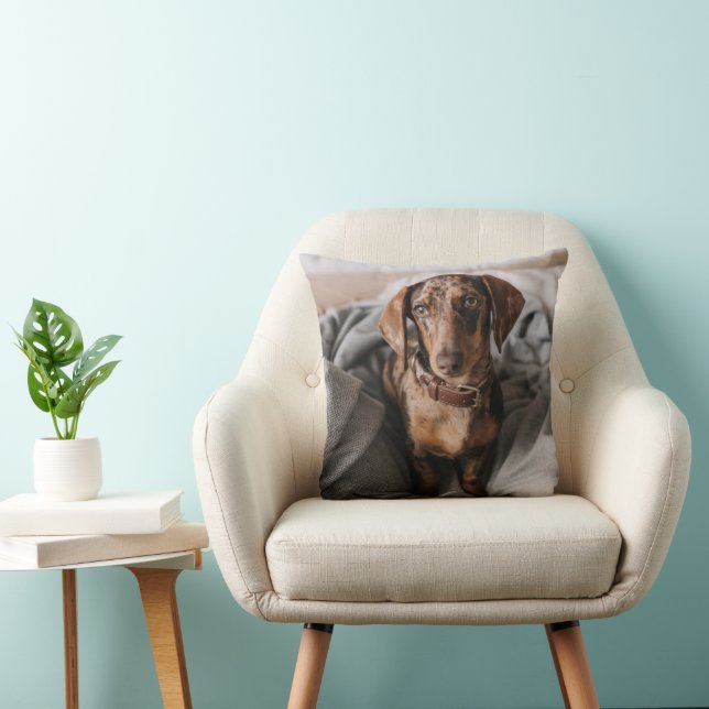 Cojín Decorativo Animales de bebé más afectados | Chocolate Dachshu (Silla)