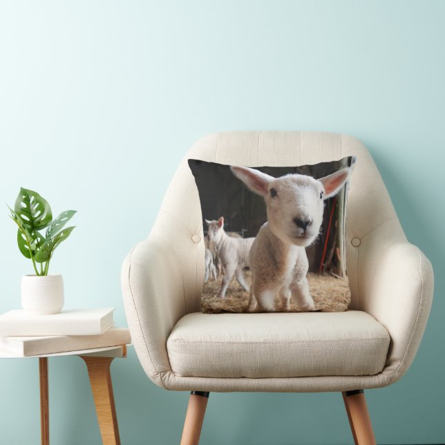 Cojín Decorativo Animales de bebé más afectados | Cordero blanco en (Silla)