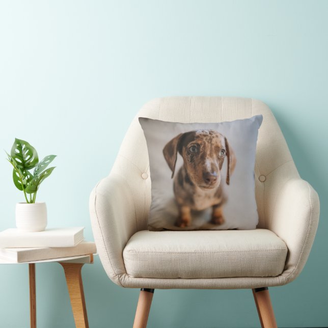 Cojín Decorativo Animales de bebé más afectados | Dachshund Puppy (Silla)