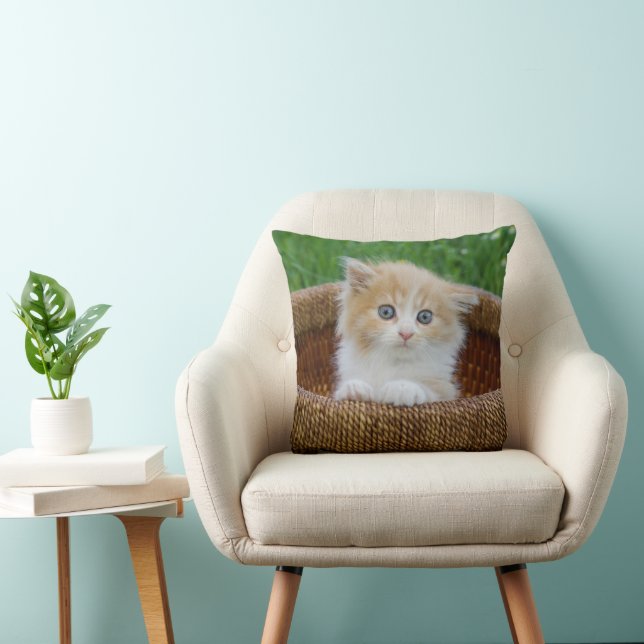 Cojín Decorativo Animales de bebé más afectados | Gatito teñido azu (Silla)