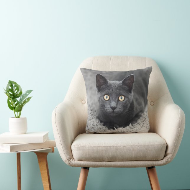 Cojín Decorativo Animales de bebé más afectados | Gato gris (Silla)