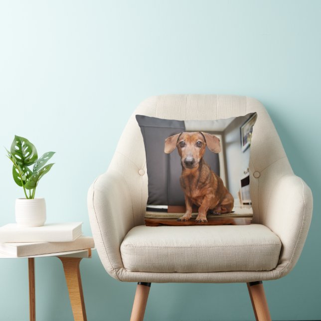 Cojín Decorativo Animales de bebé más afectados | Mini Dachshund Pu (Silla)