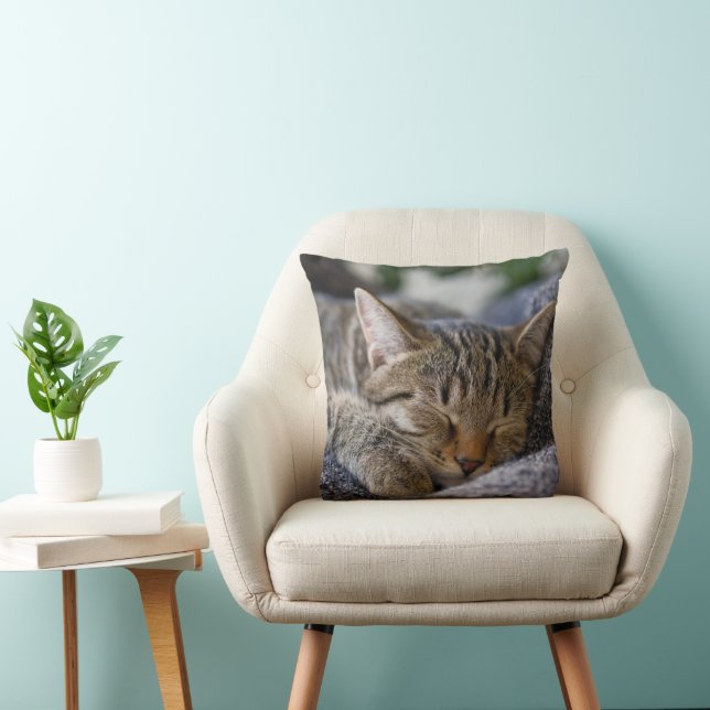 Cojín Decorativo Animales de bebé más afectados | Tabby Kitten Slee (Silla)