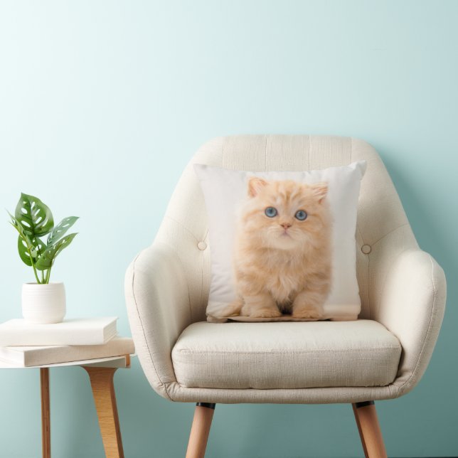 Cojín Decorativo Animales de bebé más afectados | Un Gatito Británi (Silla)