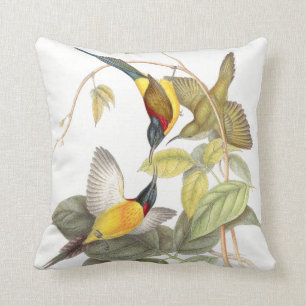 Cojín Decorativo Animales de la fauna de los pájaros de Sunbird