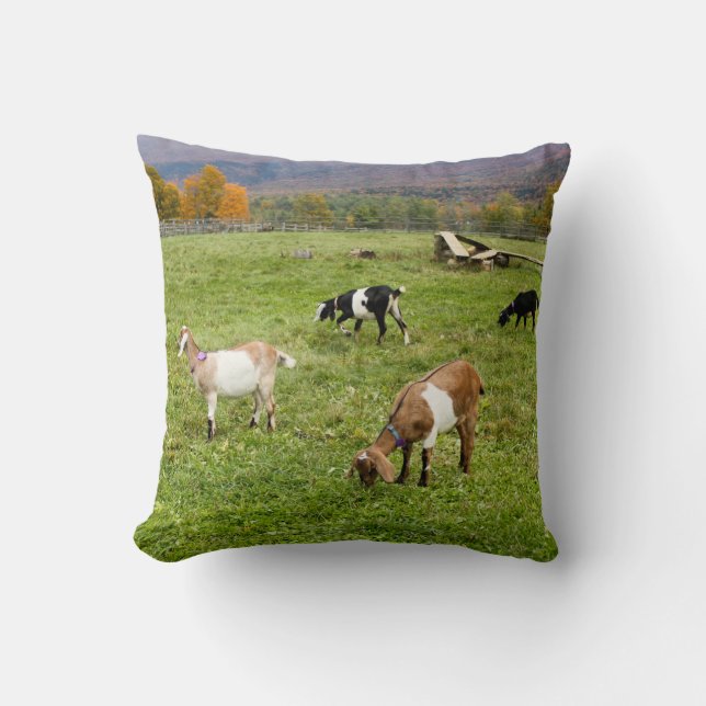 Cojín Decorativo Animales Goats Pasture Vermont Photo (Anverso)