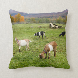 Cojín Decorativo Animales Goats Pasture Vermont Photo