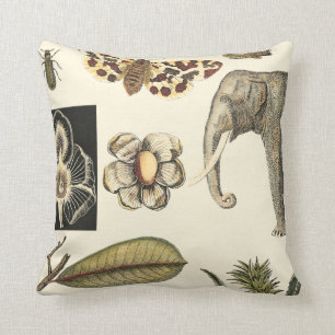 Cojín Decorativo Animales variados pintados de fondo crema