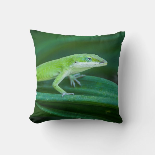 Cojín Decorativo Anole Lizard (Anverso)