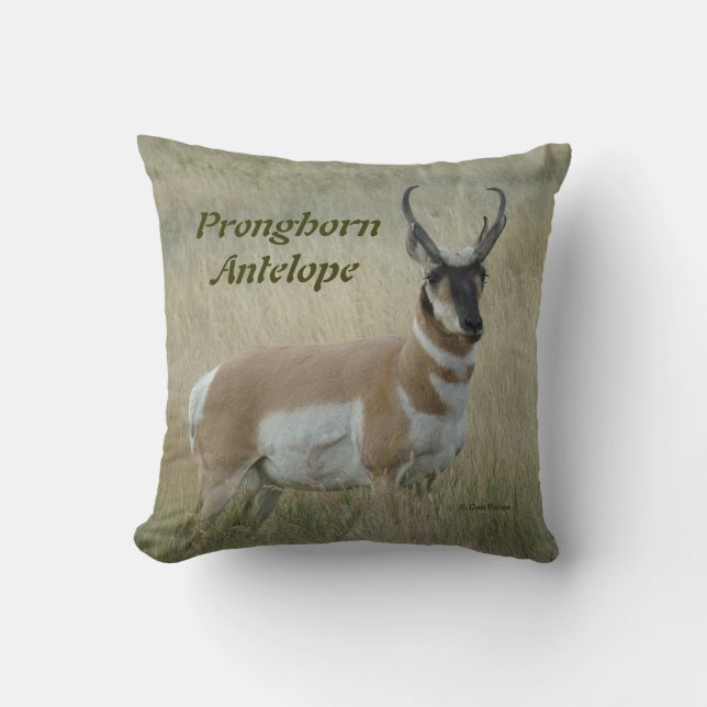 Cojín Decorativo Antelope Pronghorn Big Buck (Anverso)
