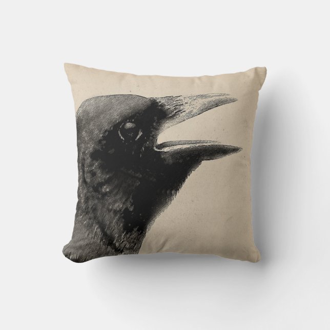 Cojín Decorativo Anticuado (Anverso)