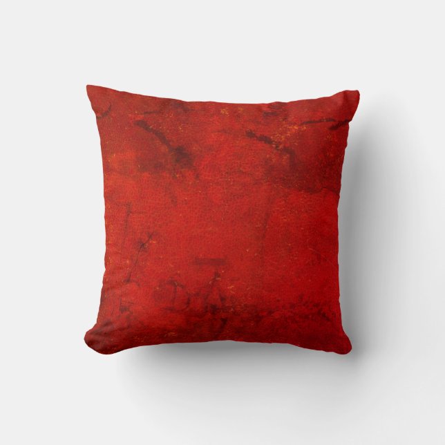 Cojín Decorativo Antiguo pero nuevo (Anverso)
