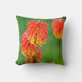 Cojín Decorativo Antora (Kniphofia Uvaria), Western Cape