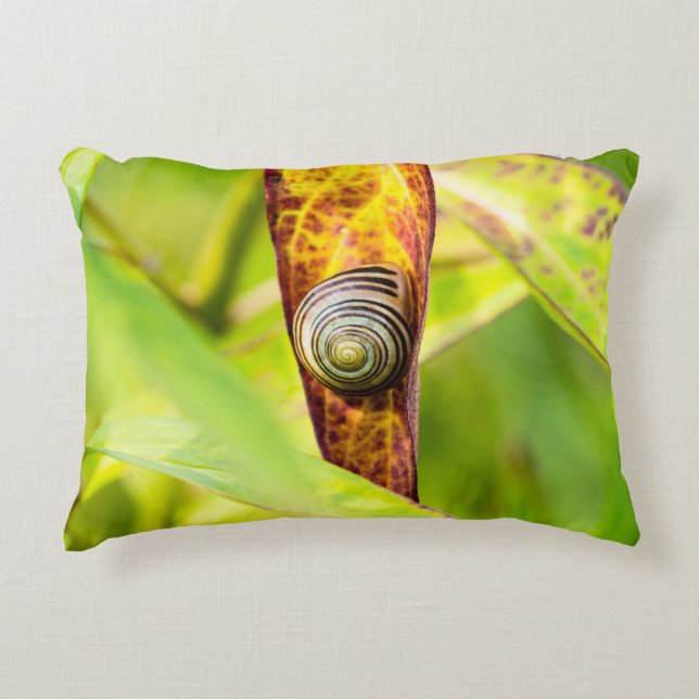 Cojín Decorativo apego (Anverso)