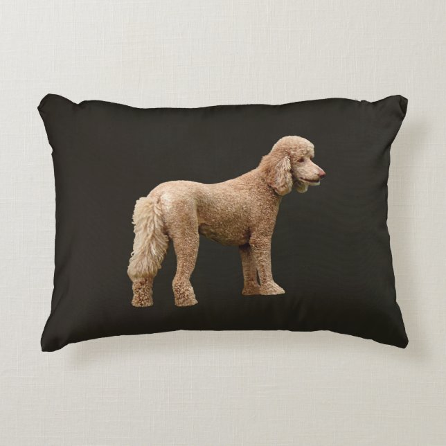 Cojín Decorativo Apricot Poodle (Anverso)