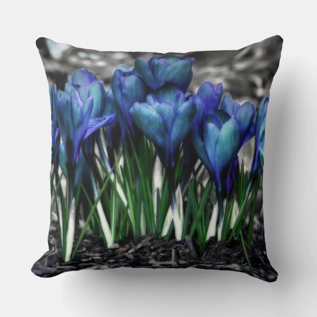 Cojín Decorativo Aqua Blue Crocus Blooms (Anverso)
