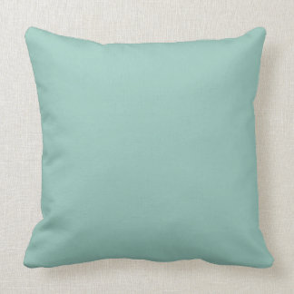 COJÍN DECORATIVO ÁQUA SÓLIDA PILLOW_415/416 DE LA MODA