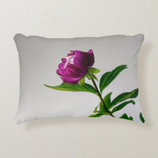 Cojín Decorativo Aquí hay algunas ideas creativas de título para un